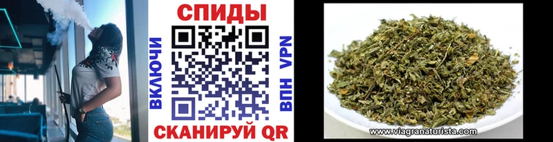 Купить где  Рассказово  БУТИРАТ BDO 