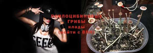 метадон Горняк