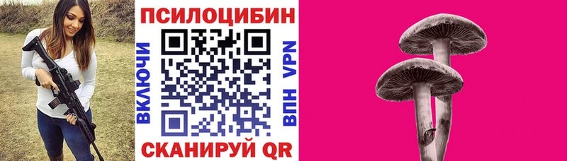 Галлюциногенные грибы MAGIC MUSHROOMS  Купить закладки  Рассказово 